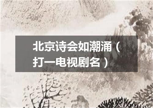 北京诗会如潮涌（打一电视剧名）