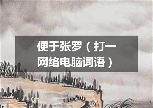 便于张罗（打一网络电脑词语）