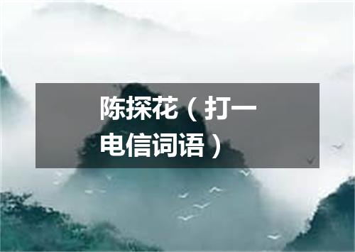 陈探花（打一电信词语）