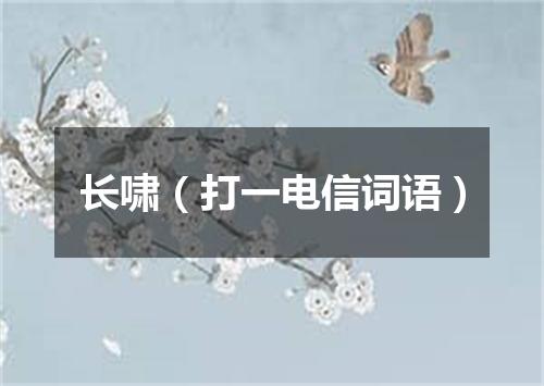 长啸（打一电信词语）
