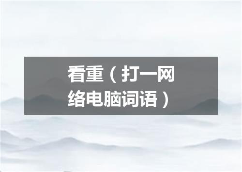 看重（打一网络电脑词语）