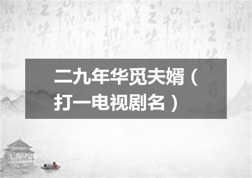 二九年华觅夫婿（打一电视剧名）