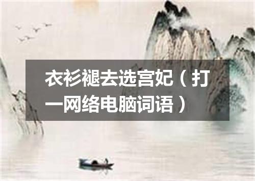 衣衫褪去选宫妃（打一网络电脑词语）
