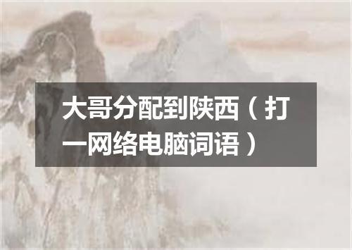 大哥分配到陕西（打一网络电脑词语）