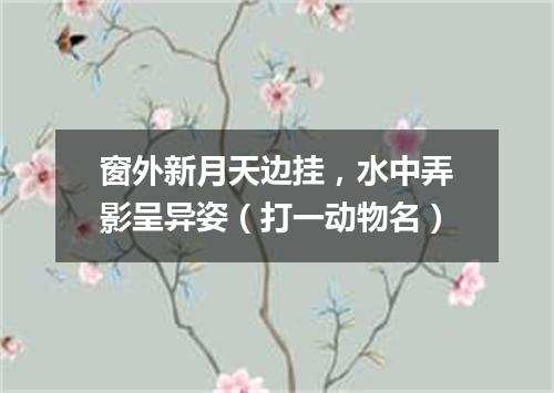 窗外新月天边挂，水中弄影呈异姿（打一动物名）