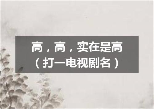 高，高，实在是高（打一电视剧名）