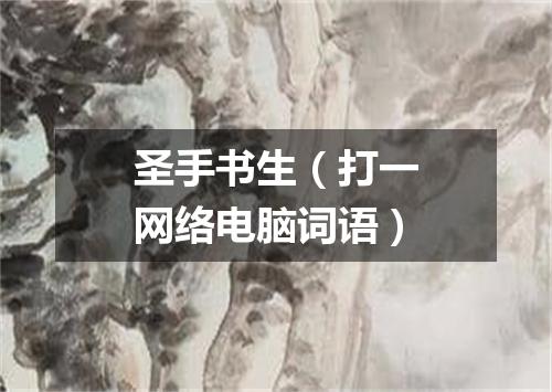 圣手书生（打一网络电脑词语）