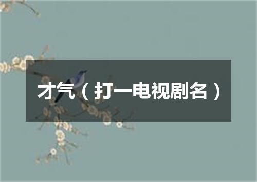 才气（打一电视剧名）