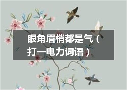 眼角眉梢都是气（打一电力词语）