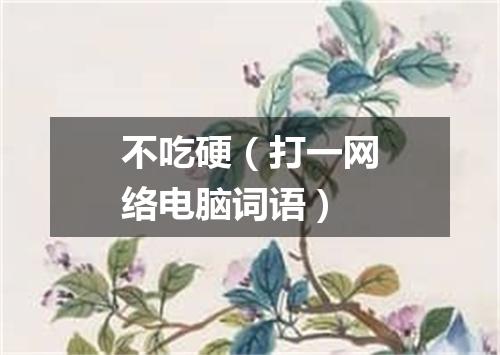 不吃硬（打一网络电脑词语）
