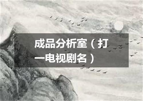 成品分析室（打一电视剧名）