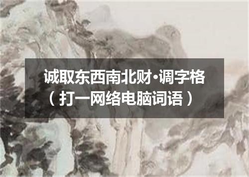 诚取东西南北财·调字格（打一网络电脑词语）
