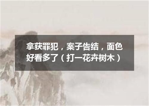 拿获罪犯，案子告结，面色好看多了（打一花卉树木）