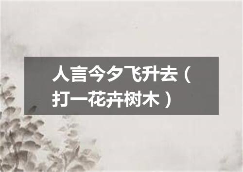 人言今夕飞升去（打一花卉树木）