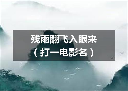 残雨翻飞入眼来（打一电影名）