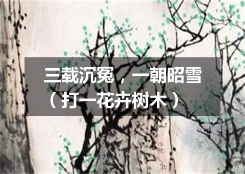 三载沉冤，一朝昭雪（打一花卉树木）