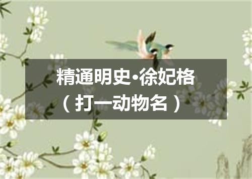 精通明史·徐妃格（打一动物名）