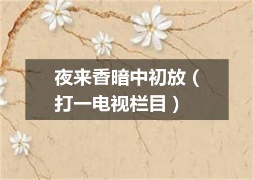夜来香暗中初放（打一电视栏目）