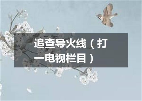 追查导火线（打一电视栏目）