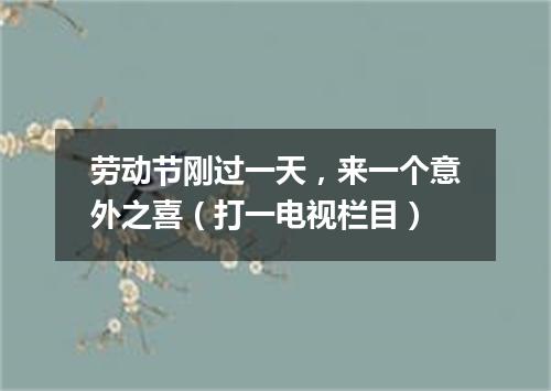 劳动节刚过一天，来一个意外之喜（打一电视栏目）