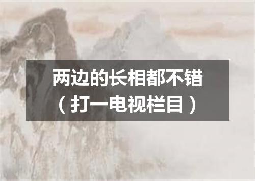 两边的长相都不错（打一电视栏目）