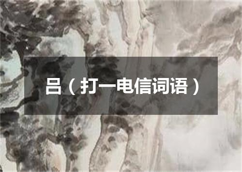 吕（打一电信词语）