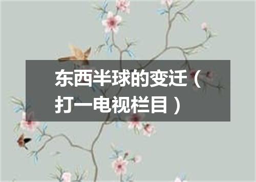 东西半球的变迁（打一电视栏目）