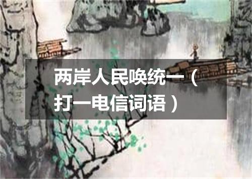 两岸人民唤统一（打一电信词语）