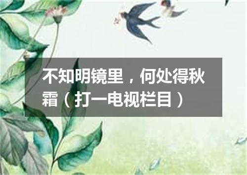 不知明镜里，何处得秋霜（打一电视栏目）