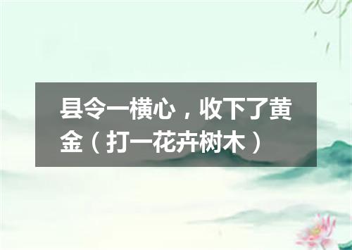 县令一横心，收下了黄金（打一花卉树木）