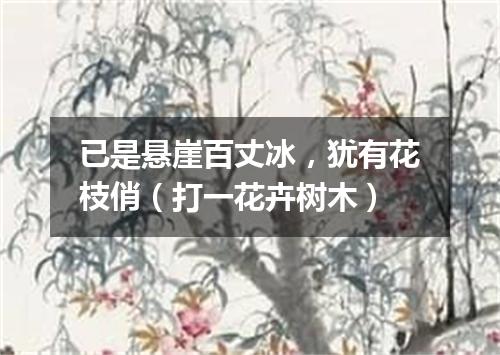 已是悬崖百丈冰，犹有花枝俏（打一花卉树木）