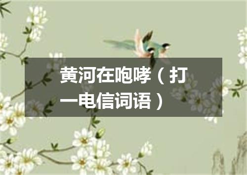 黄河在咆哮（打一电信词语）