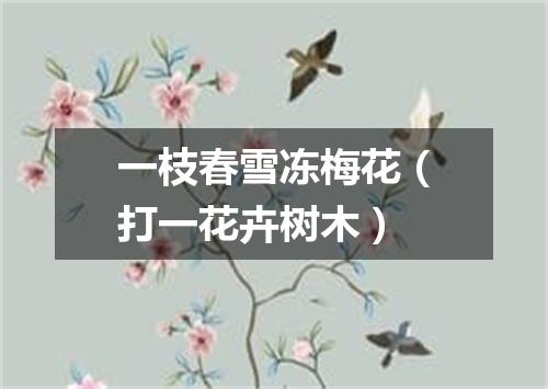 一枝春雪冻梅花（打一花卉树木）