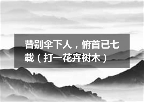 昔别伞下人，俯首已七载（打一花卉树木）