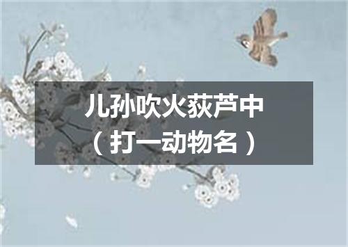 儿孙吹火荻芦中（打一动物名）