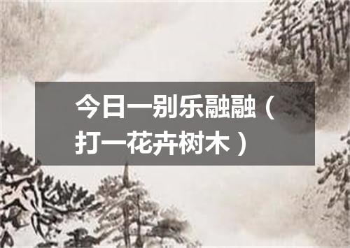 今日一别乐融融（打一花卉树木）