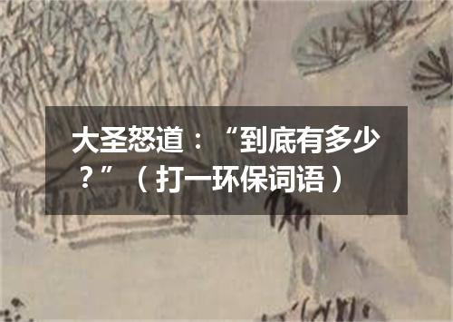 大圣怒道：“到底有多少？”（打一环保词语）