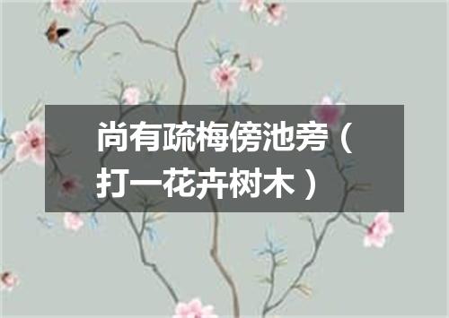 尚有疏梅傍池旁（打一花卉树木）