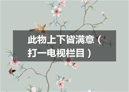 此物上下皆满意（打一电视栏目）