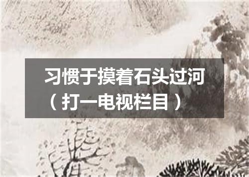 习惯于摸着石头过河（打一电视栏目）