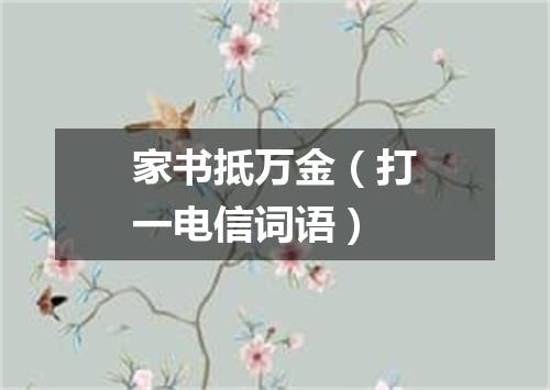家书抵万金（打一电信词语）