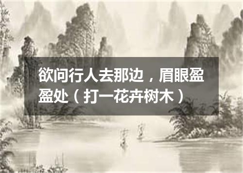 欲问行人去那边，眉眼盈盈处（打一花卉树木）