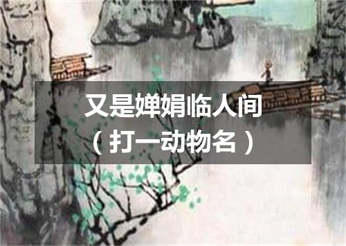 又是婵娟临人间（打一动物名）