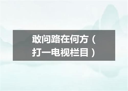 敢问路在何方（打一电视栏目）