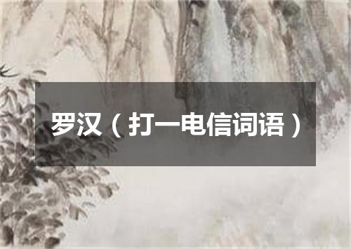 罗汉（打一电信词语）