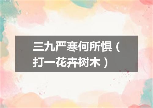 三九严寒何所惧（打一花卉树木）