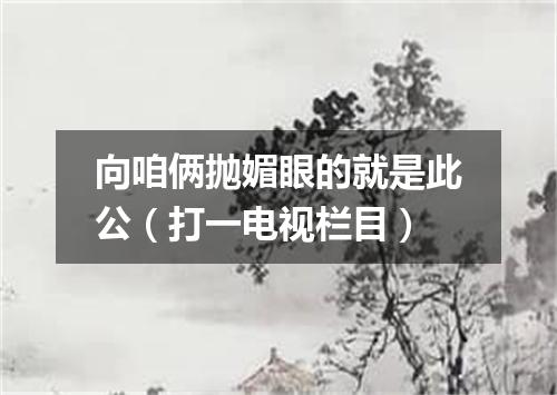 向咱俩抛媚眼的就是此公（打一电视栏目）