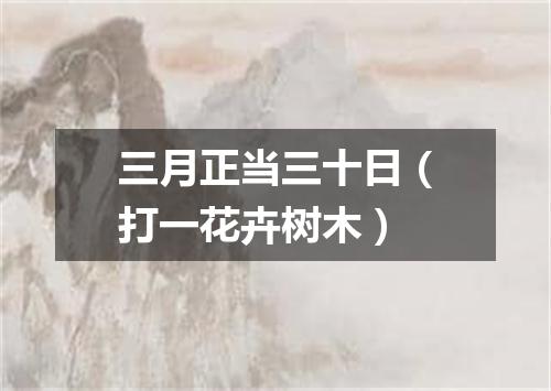 三月正当三十日（打一花卉树木）