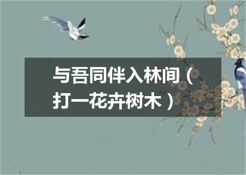 与吾同伴入林间（打一花卉树木）