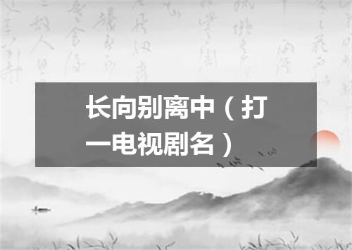 长向别离中（打一电视剧名）